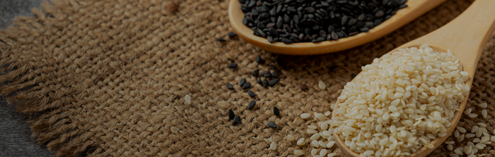 Sesame Oil and Ayurveda What the Charaka Samhita Actually Says