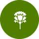 100% Kardai Safflower Oil