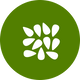100% Sesame Oil