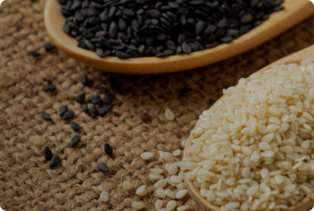 Sesame Oil and Ayurveda What the Charaka Samhita Actually Says